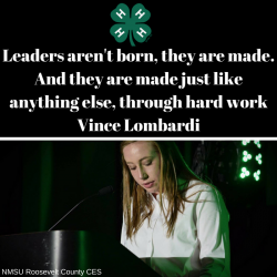 4-H leader meme