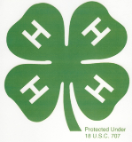 Image of 4-H clover